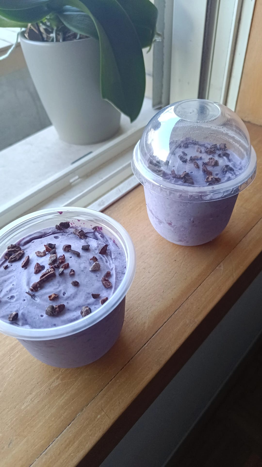 Receita Digital: Gelado Proteico de Mirtilo (PDF)