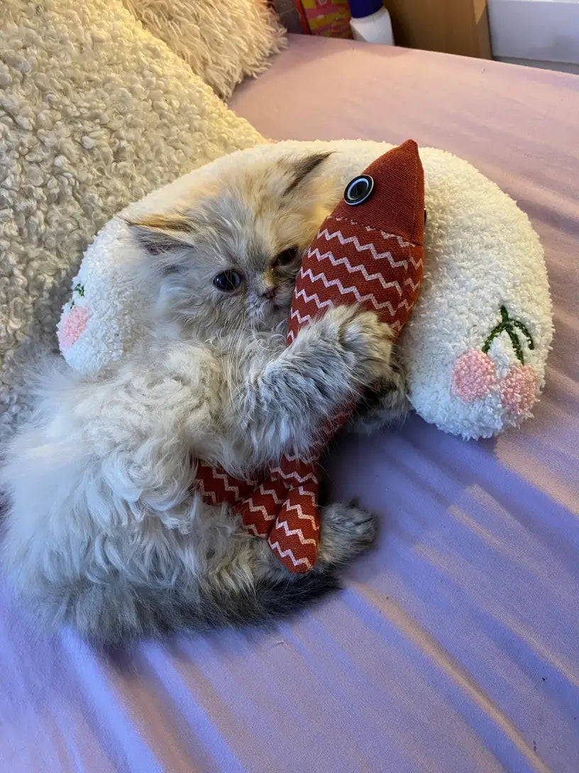 Brinquedo abraçadinho peixe com catnip para gatos