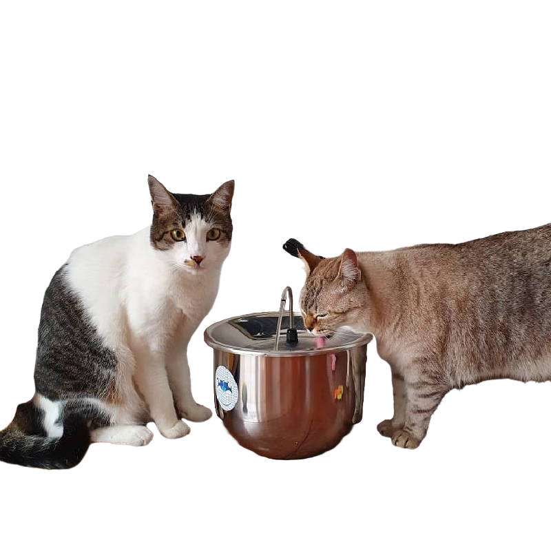 Bebedouro fonte de água para cães e gatos